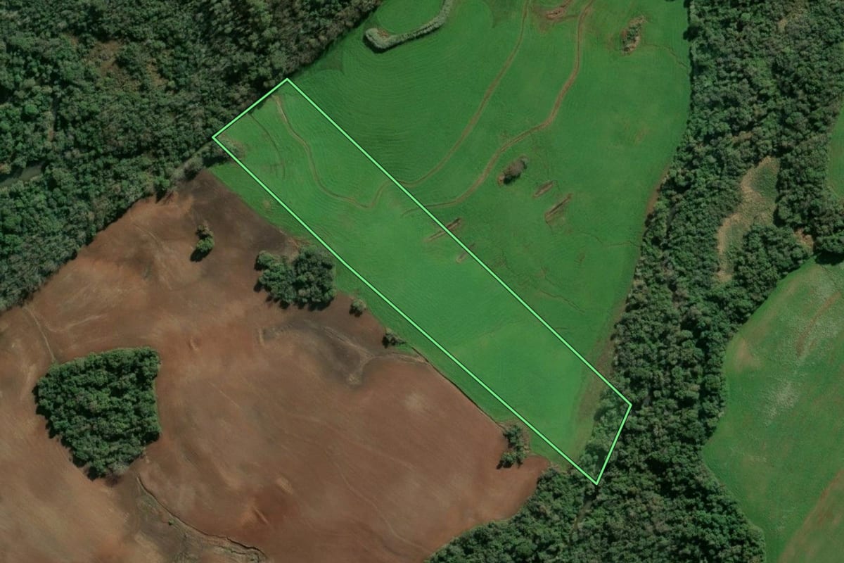 Imagem de satélite do imóvel rural em Santa Rosa (RS), com o contorno declarado no CAR desenhado por cima.