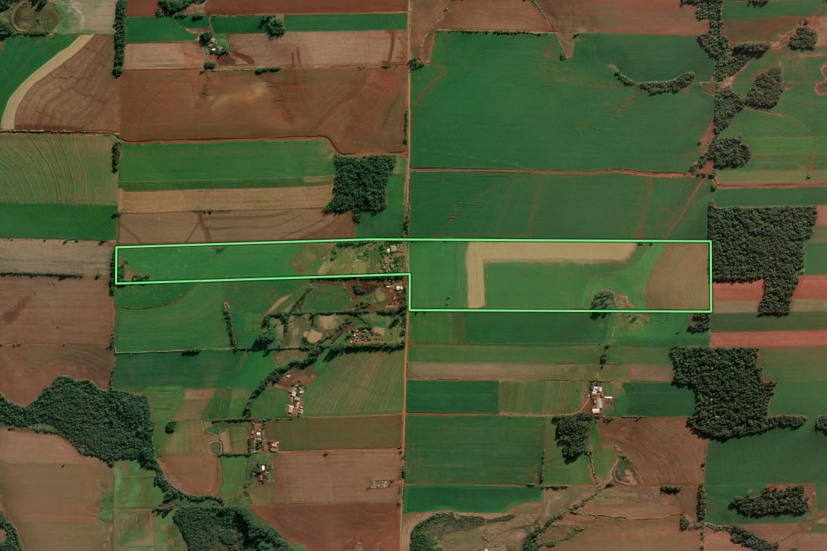 Imagem de satélite do imóvel rural em Santa Rosa (RS), com o contorno declarado no CAR desenhado por cima.