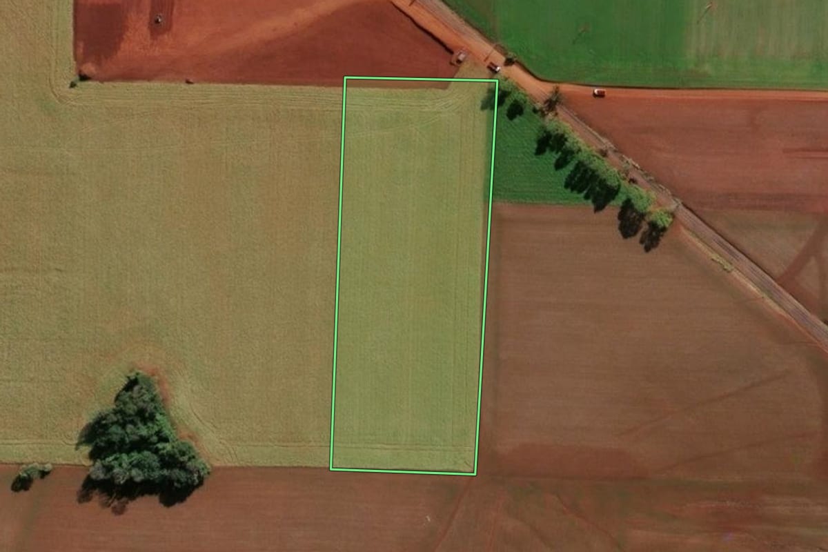Imagem de satélite do imóvel rural em Santa Rosa (RS), com o contorno declarado no CAR desenhado por cima.