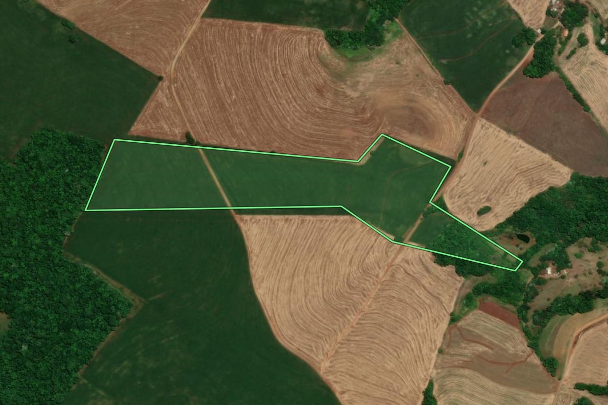 Imagem de satélite do imóvel rural em Santa Rosa (RS), com o contorno declarado no CAR desenhado por cima.