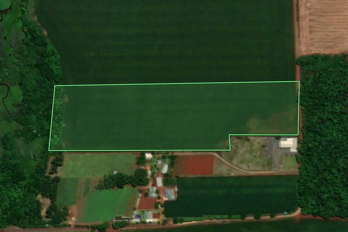 Imagem de satélite do imóvel rural em Santa Rosa (RS), com o contorno declarado no CAR desenhado por cima.