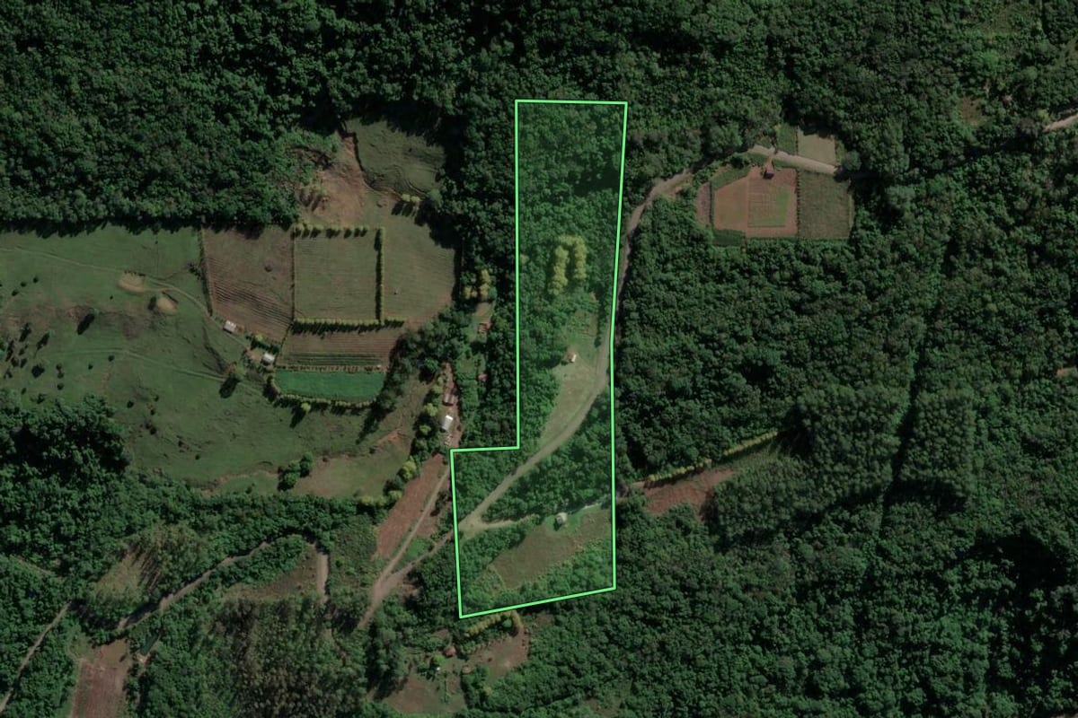 Imagem de satélite do imóvel rural em Santa Tereza (RS), com o contorno declarado no CAR desenhado por cima.