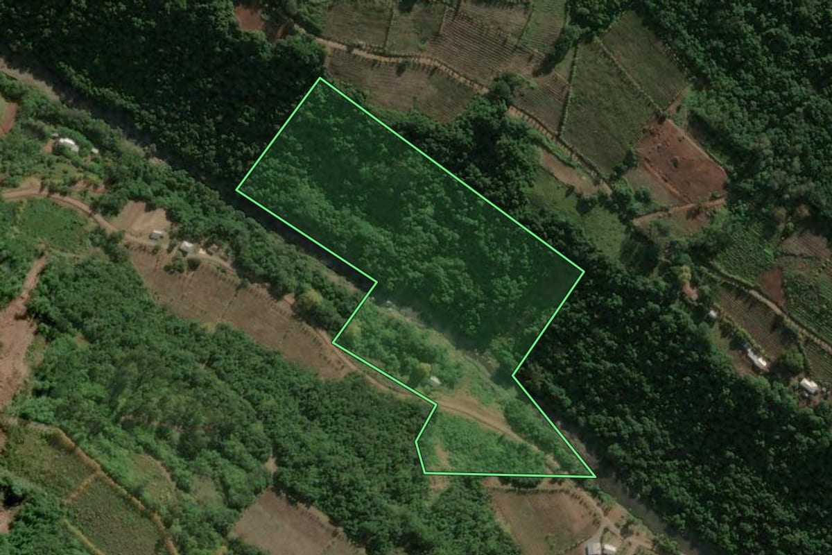 Imagem de satélite do imóvel rural em Santa Tereza (RS), com o contorno declarado no CAR desenhado por cima.