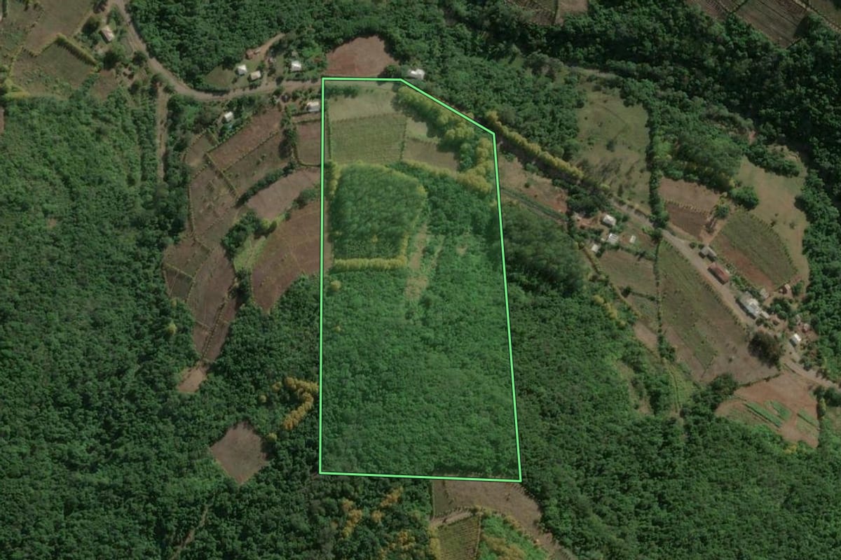 Imagem de satélite do imóvel rural em Santa Tereza (RS), com o contorno declarado no CAR desenhado por cima.