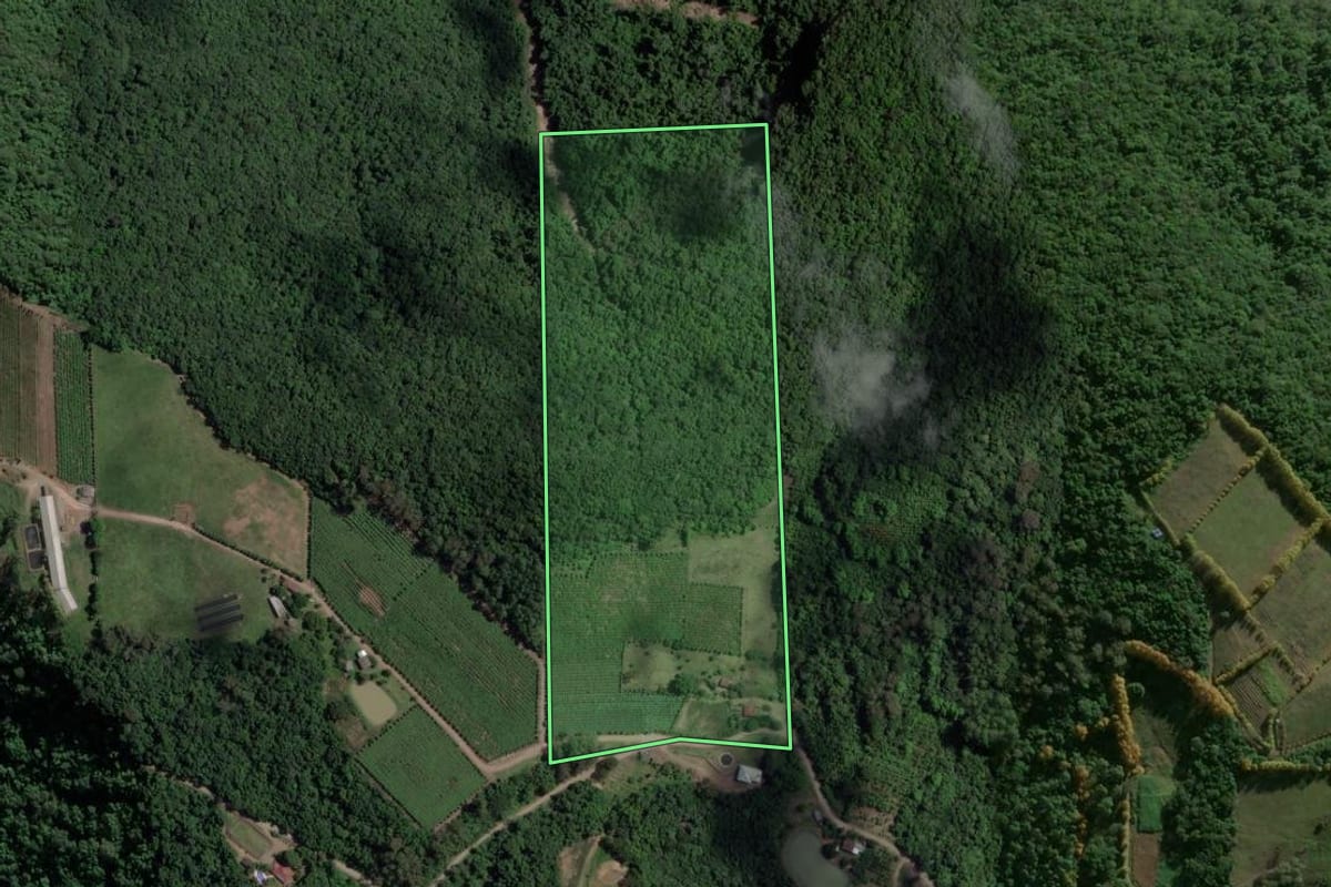 Imagem de satélite do imóvel rural em Santa Tereza (RS), com o contorno declarado no CAR desenhado por cima.