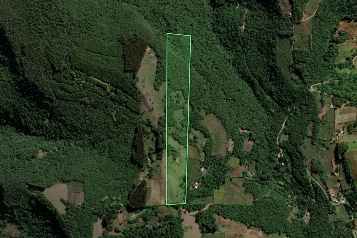 Imagem de satélite do imóvel rural em Santa Tereza (RS), com o contorno declarado no CAR desenhado por cima.
