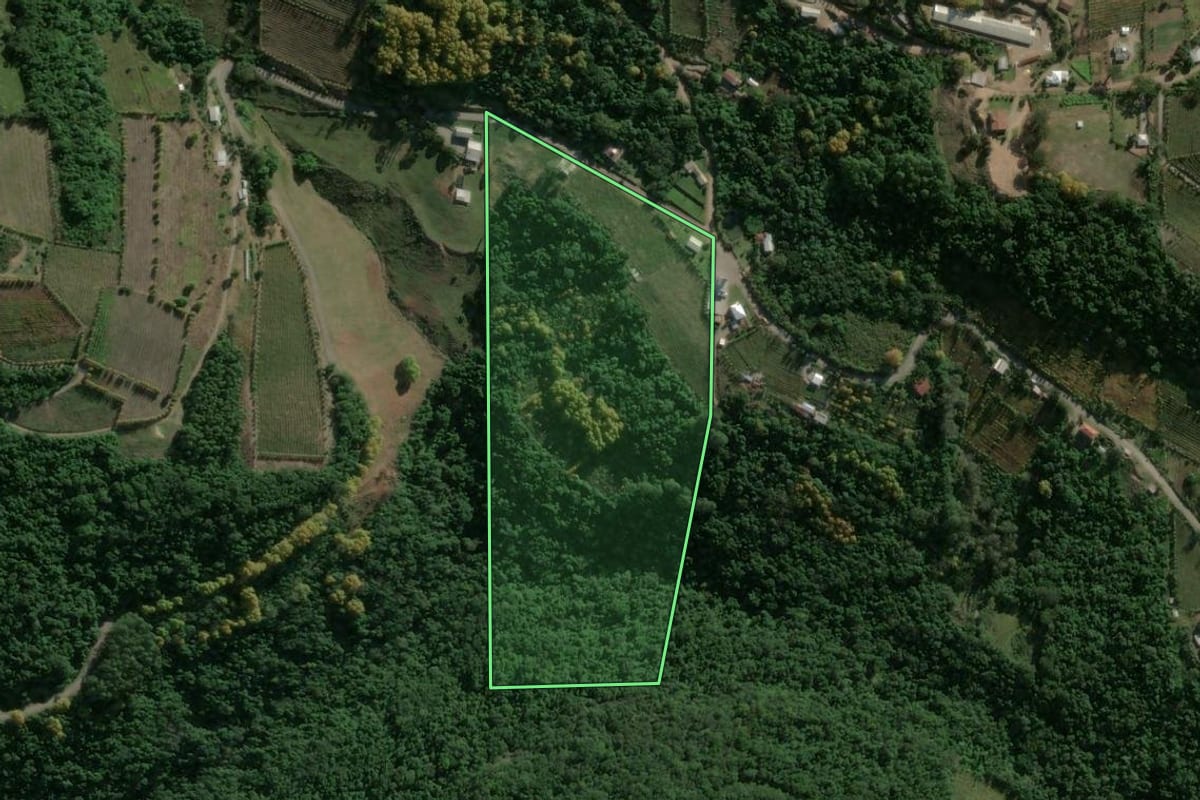 Imagem de satélite do imóvel rural em Santa Tereza (RS), com o contorno declarado no CAR desenhado por cima.