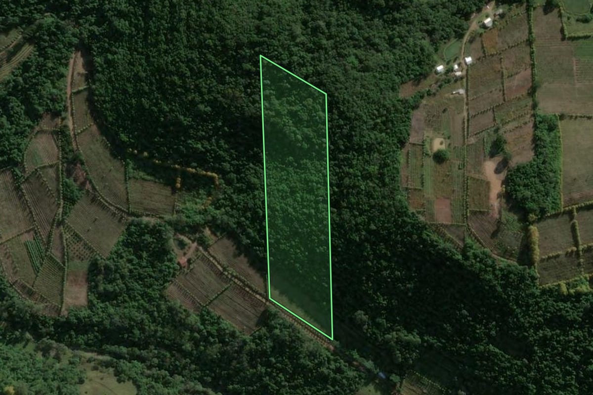 Imagem de satélite do imóvel rural em Santa Tereza (RS), com o contorno declarado no CAR desenhado por cima.