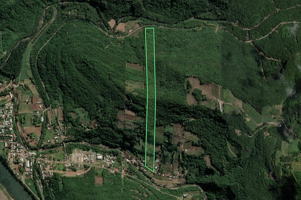 Imagem de satélite do imóvel rural em Santa Tereza (RS), com o contorno declarado no CAR desenhado por cima.