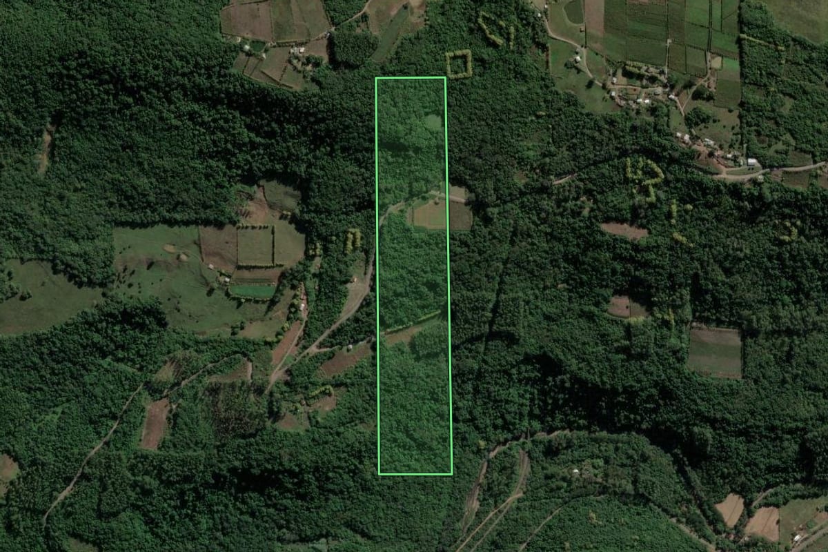 Imagem de satélite do imóvel rural em Santa Tereza (RS), com o contorno declarado no CAR desenhado por cima.