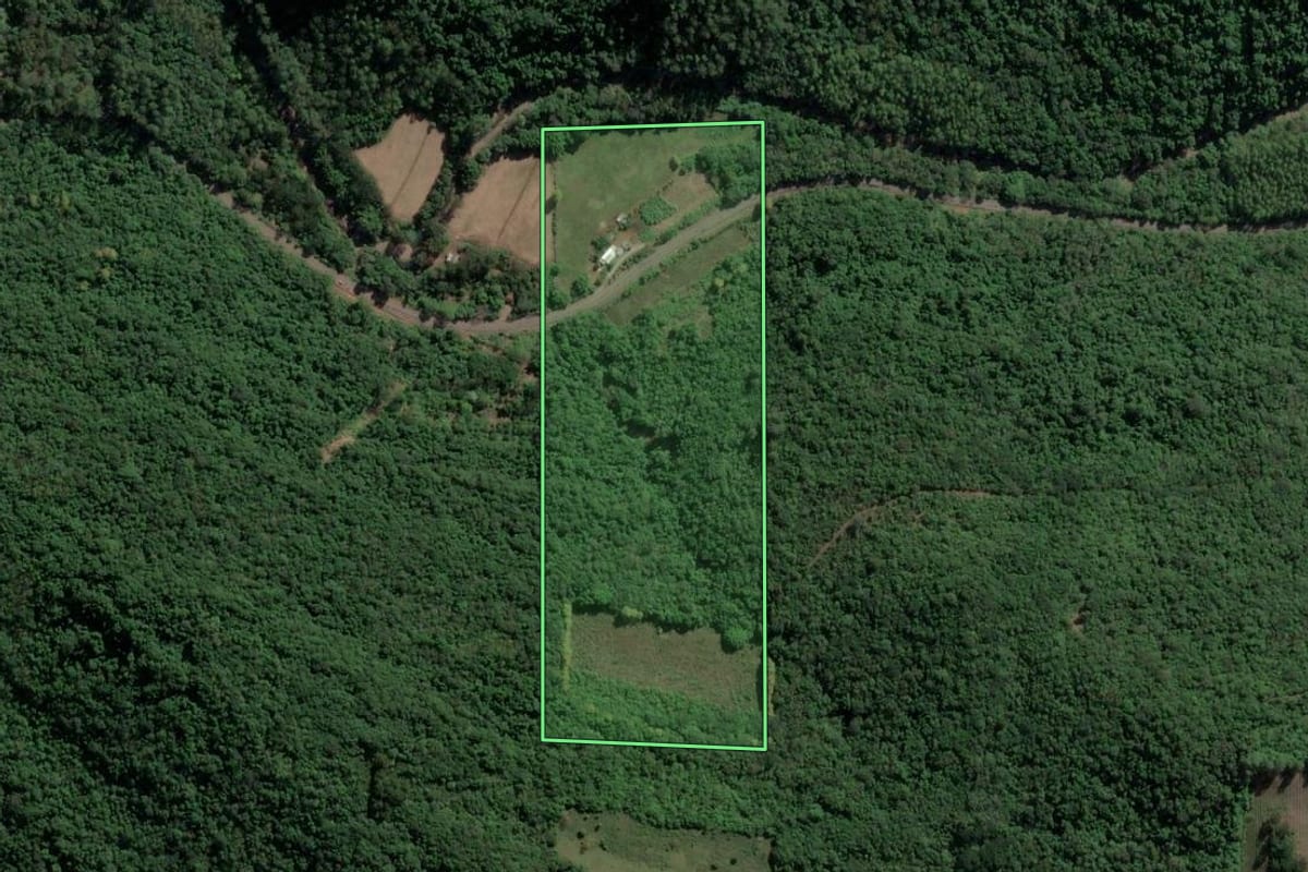 Imagem de satélite do imóvel rural em Santa Tereza (RS), com o contorno declarado no CAR desenhado por cima.