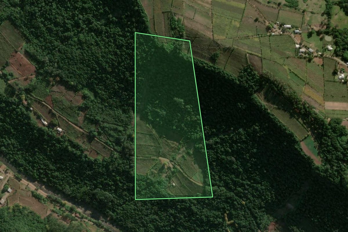 Imagem de satélite do imóvel rural em Santa Tereza (RS), com o contorno declarado no CAR desenhado por cima.