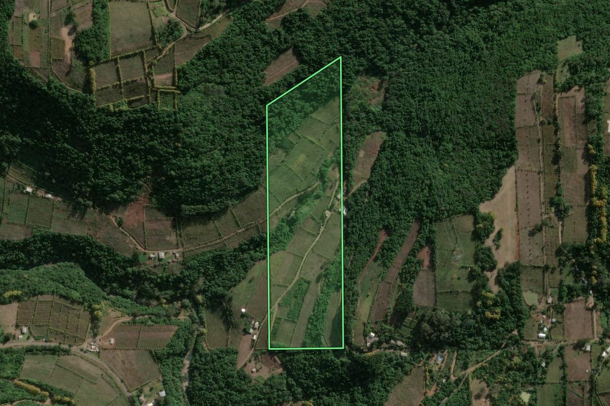 Imagem de satélite do imóvel rural em Santa Tereza (RS), com o contorno declarado no CAR desenhado por cima.