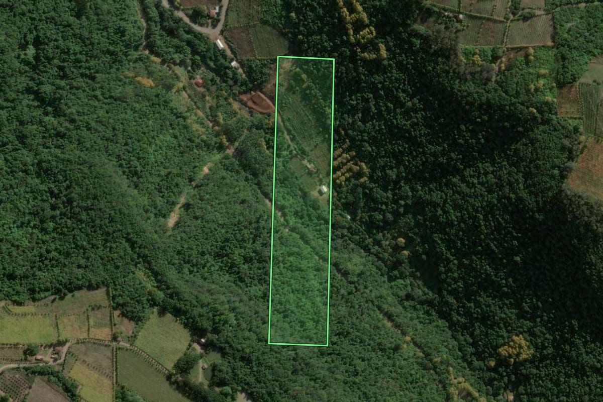 Imagem de satélite do imóvel rural em Santa Tereza (RS), com o contorno declarado no CAR desenhado por cima.