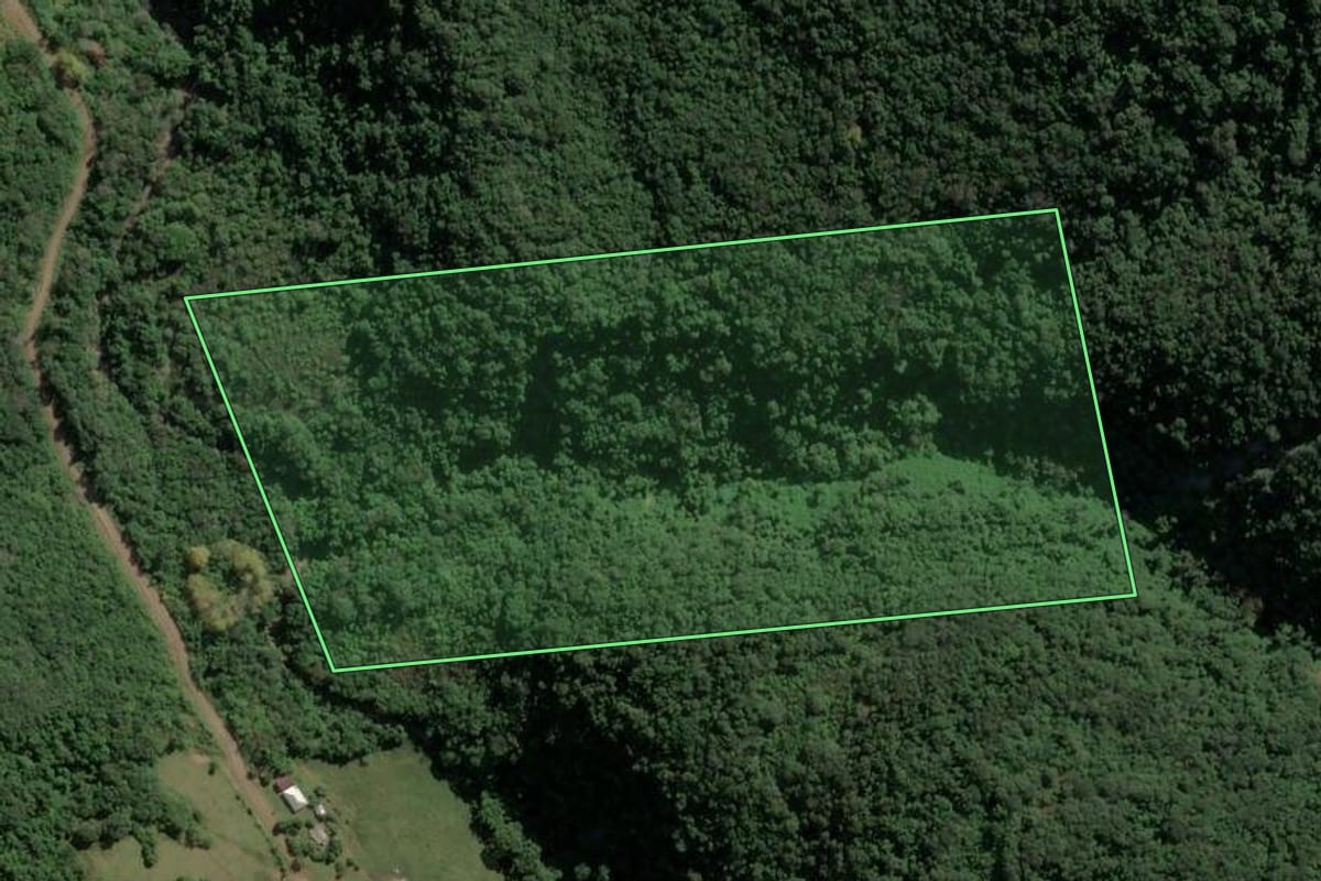 Imagem de satélite do imóvel rural em Santa Tereza (RS), com o contorno declarado no CAR desenhado por cima.