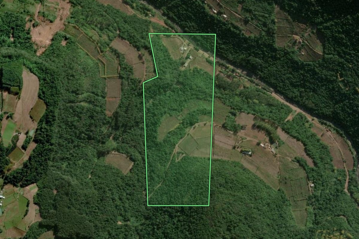 Imagem de satélite do imóvel rural em Santa Tereza (RS), com o contorno declarado no CAR desenhado por cima.