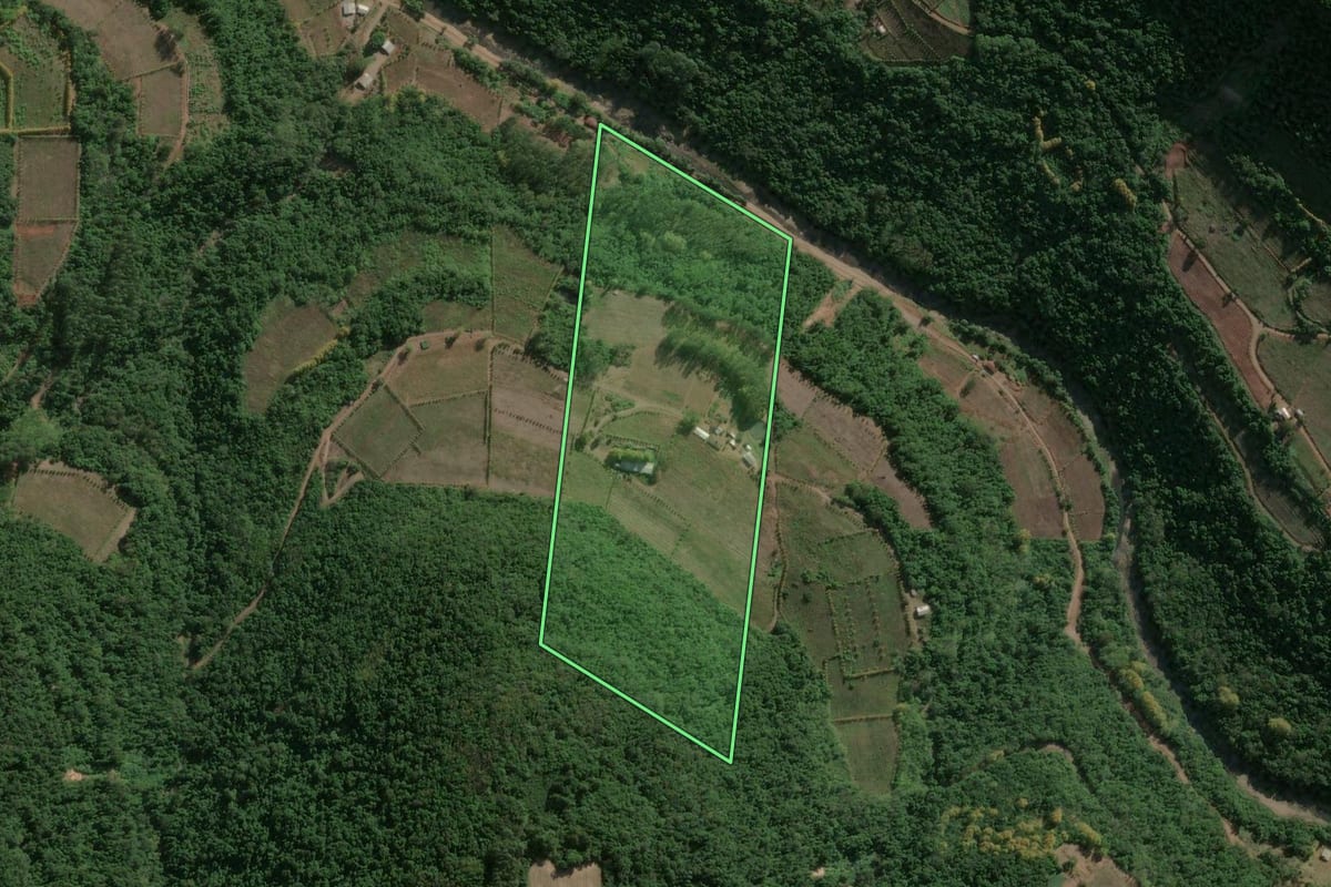 Imagem de satélite do imóvel rural em Santa Tereza (RS), com o contorno declarado no CAR desenhado por cima.