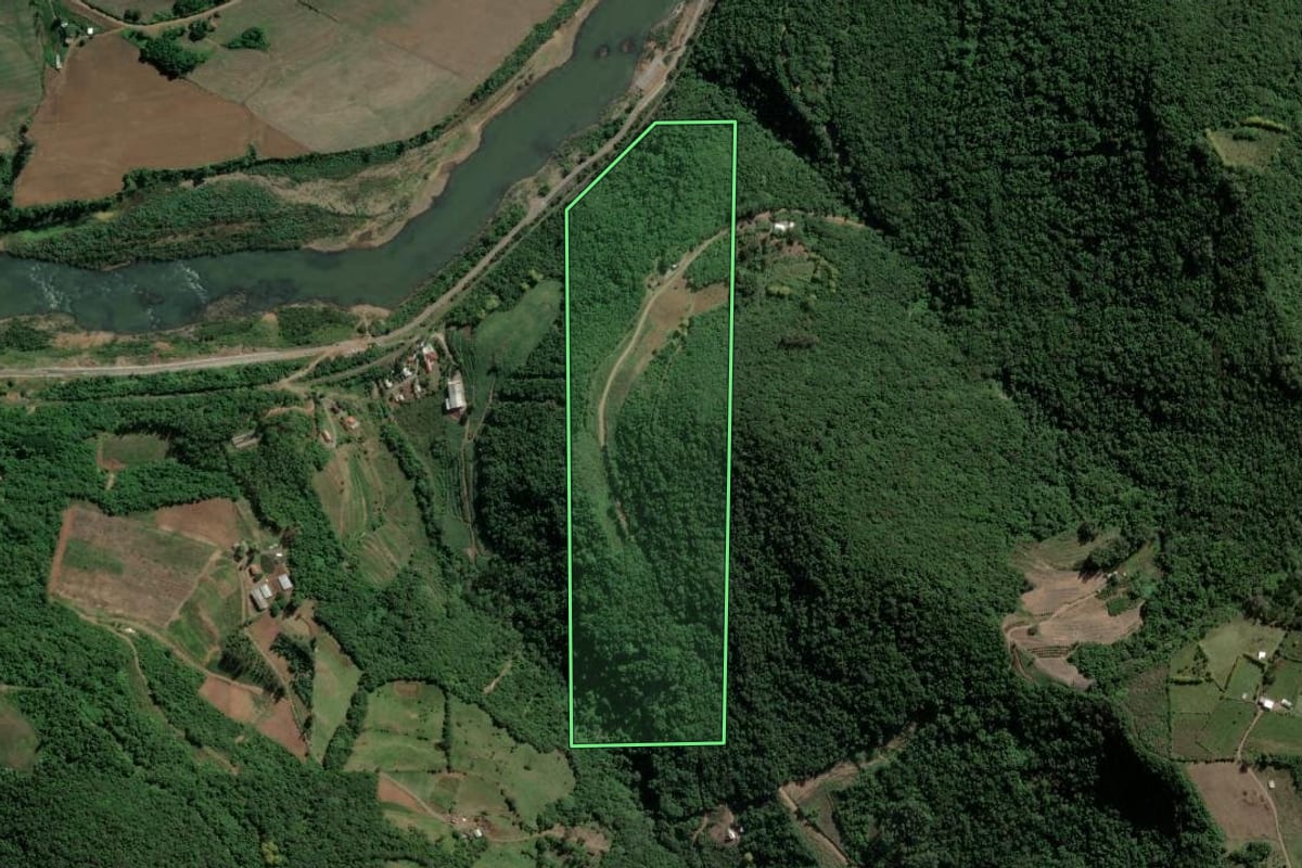 Imagem de satélite do imóvel rural em Santa Tereza (RS), com o contorno declarado no CAR desenhado por cima.