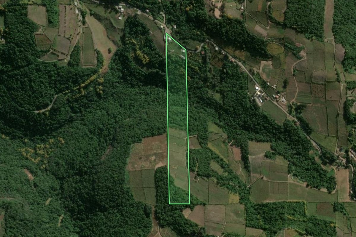 Imagem de satélite do imóvel rural em Santa Tereza (RS), com o contorno declarado no CAR desenhado por cima.