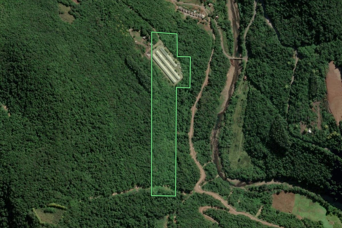 Imagem de satélite do imóvel rural em Santa Tereza (RS), com o contorno declarado no CAR desenhado por cima.