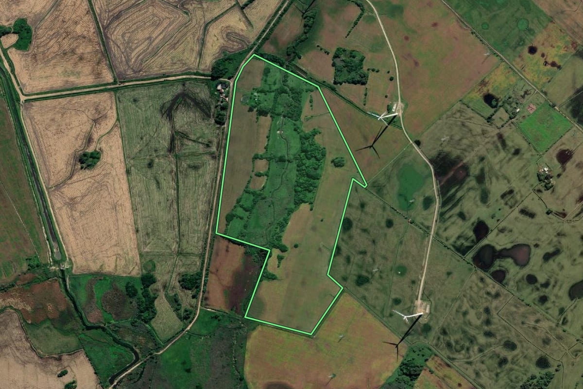 Imagem de satélite do imóvel rural em Santa Vitória do Palmar (RS), com o contorno declarado no CAR desenhado por cima.