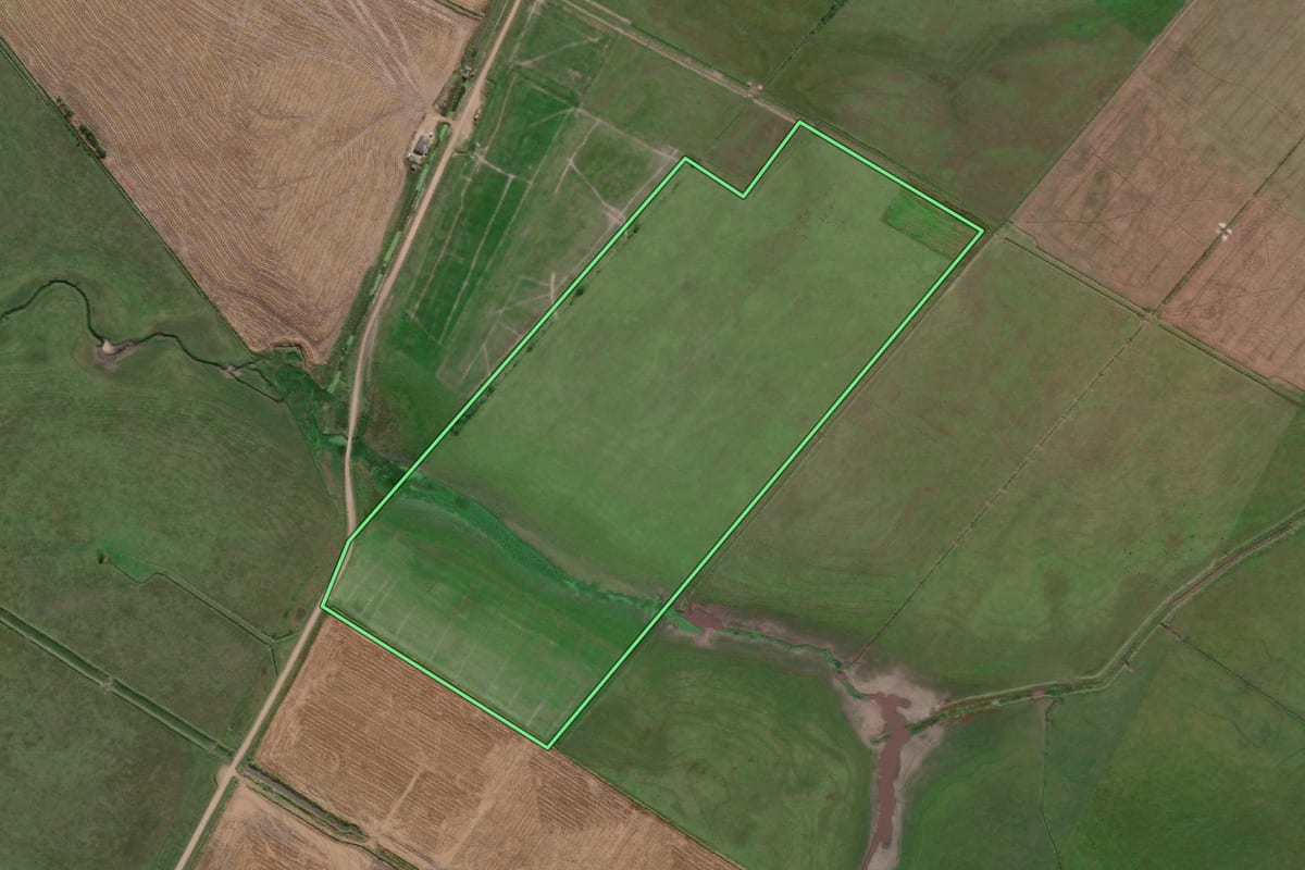 Imagem de satélite do imóvel rural em Santa Vitória do Palmar (RS), com o contorno declarado no CAR desenhado por cima.