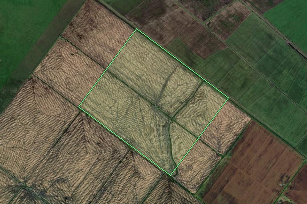 Imagem de satélite do imóvel rural em Santa Vitória do Palmar (RS), com o contorno declarado no CAR desenhado por cima.