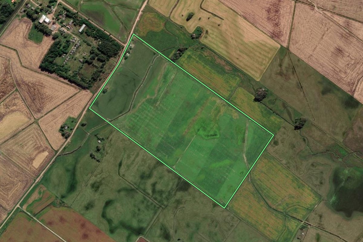 Imagem de satélite do imóvel rural em Santa Vitória do Palmar (RS), com o contorno declarado no CAR desenhado por cima.