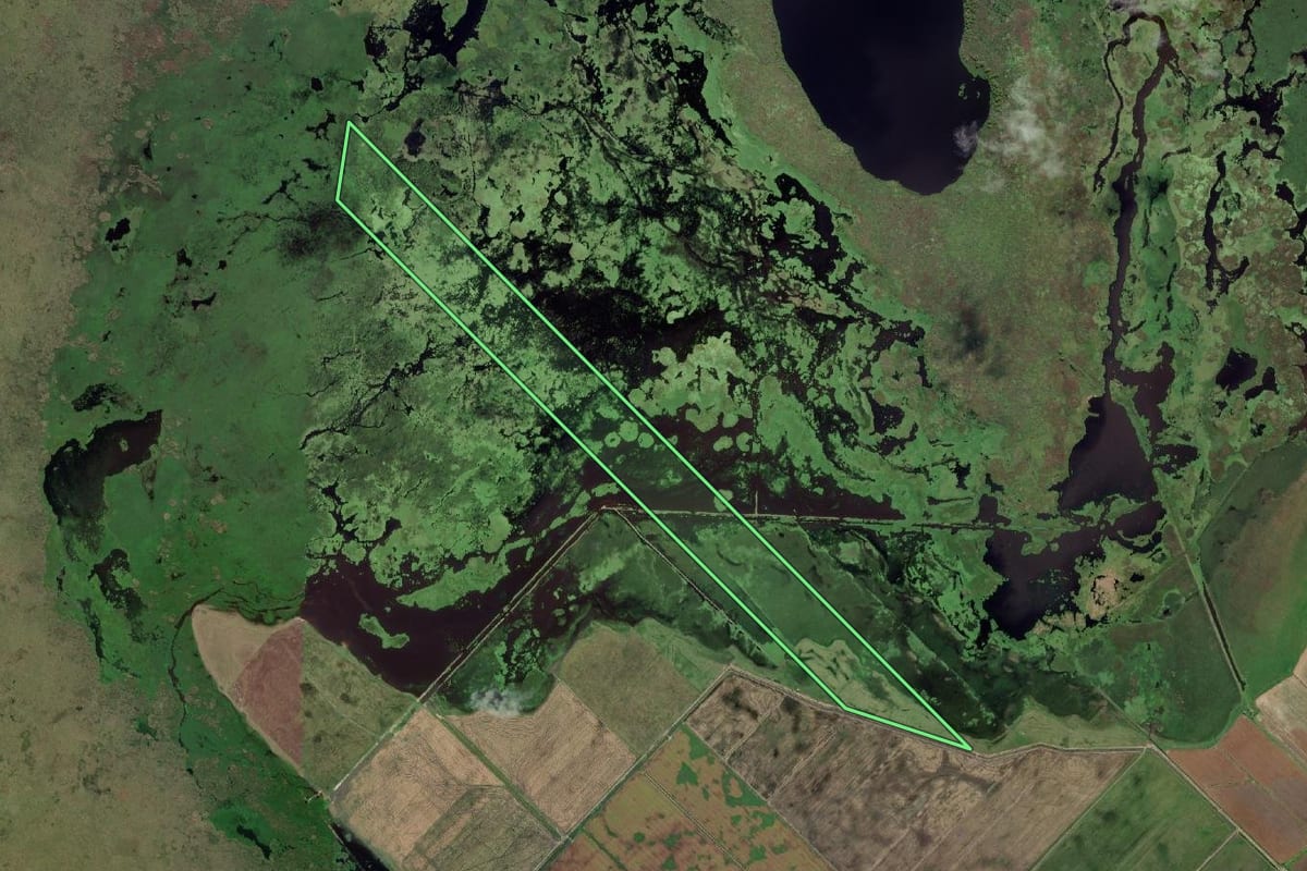 Imagem de satélite do imóvel rural em Santa Vitória do Palmar (RS), com o contorno declarado no CAR desenhado por cima.