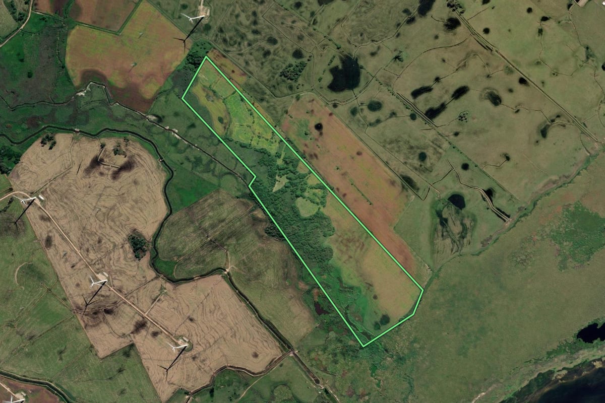 Imagem de satélite do imóvel rural em Santa Vitória do Palmar (RS), com o contorno declarado no CAR desenhado por cima.