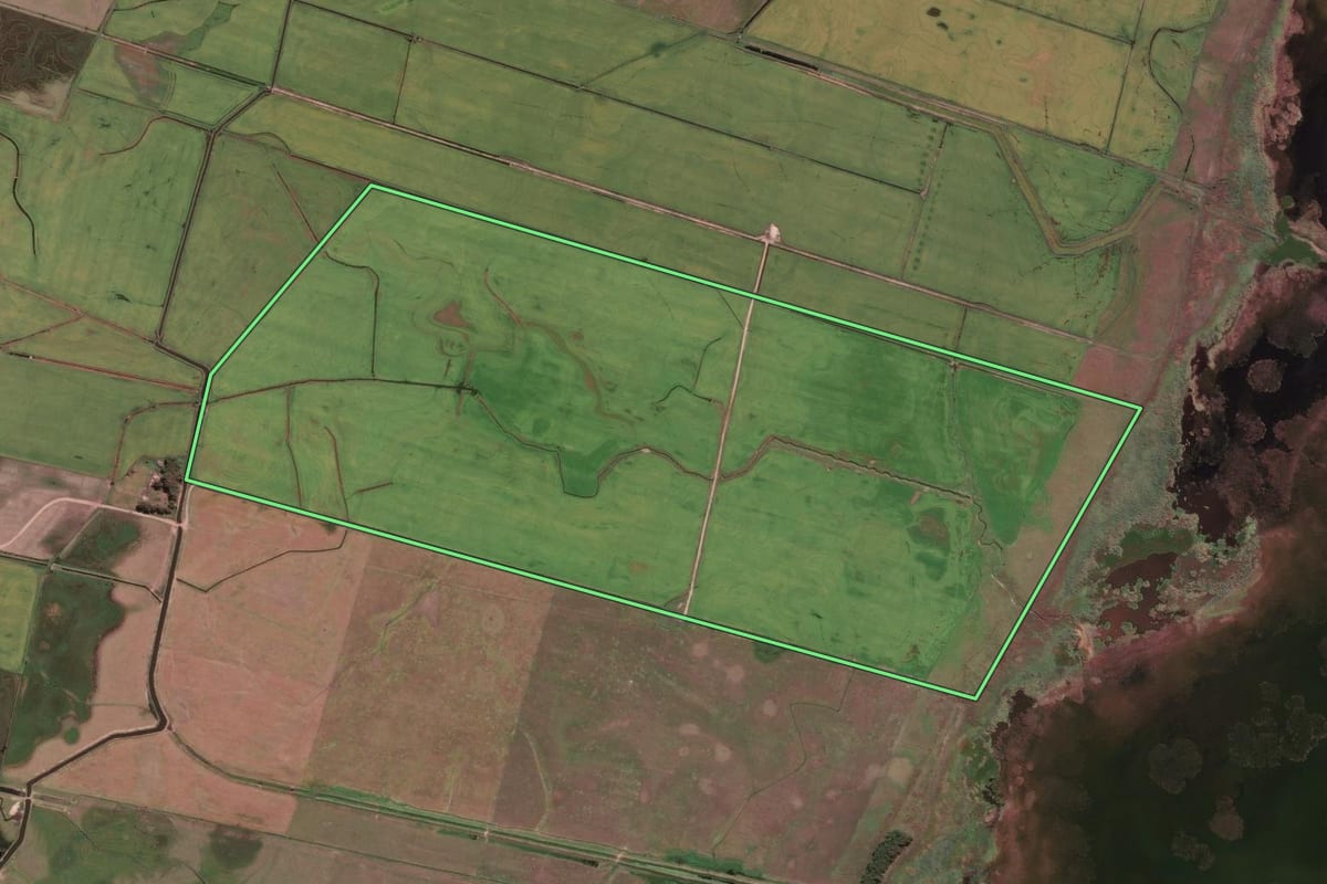 Imagem de satélite do imóvel rural em Santa Vitória do Palmar (RS), com o contorno declarado no CAR desenhado por cima.