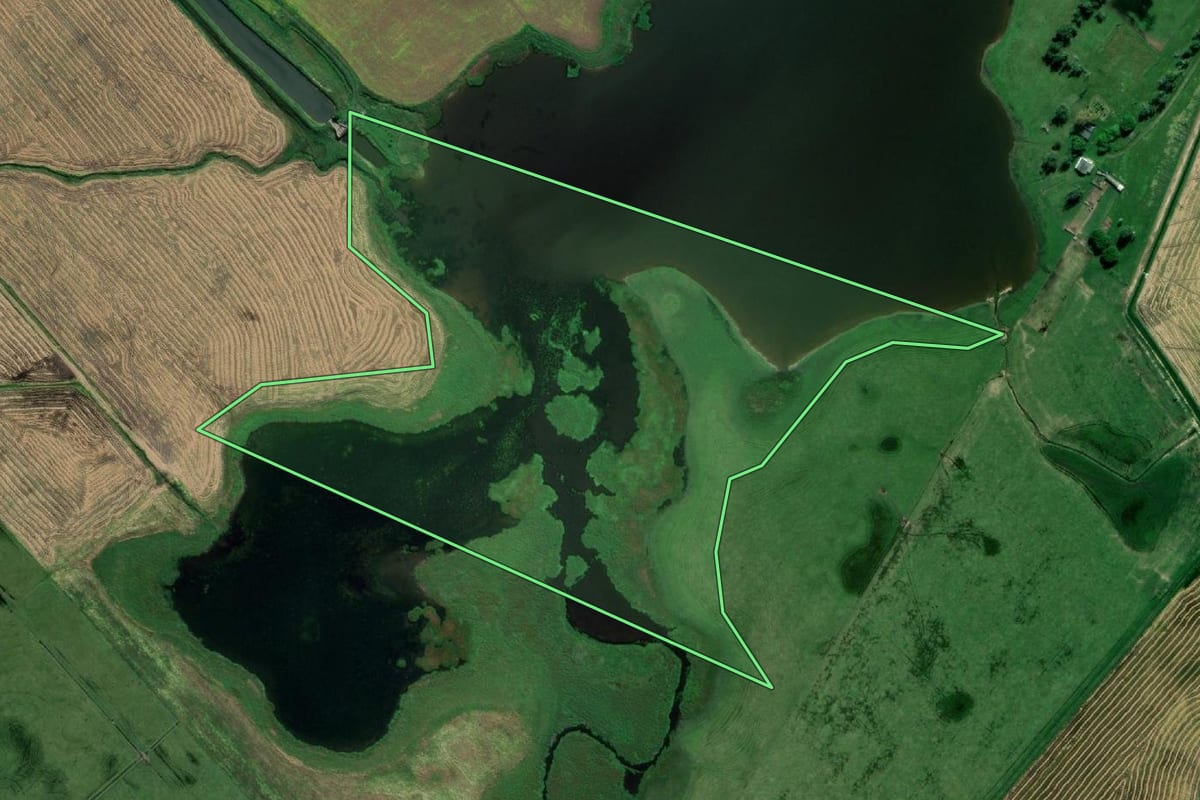 Imagem de satélite do imóvel rural em Santa Vitória do Palmar (RS), com o contorno declarado no CAR desenhado por cima.