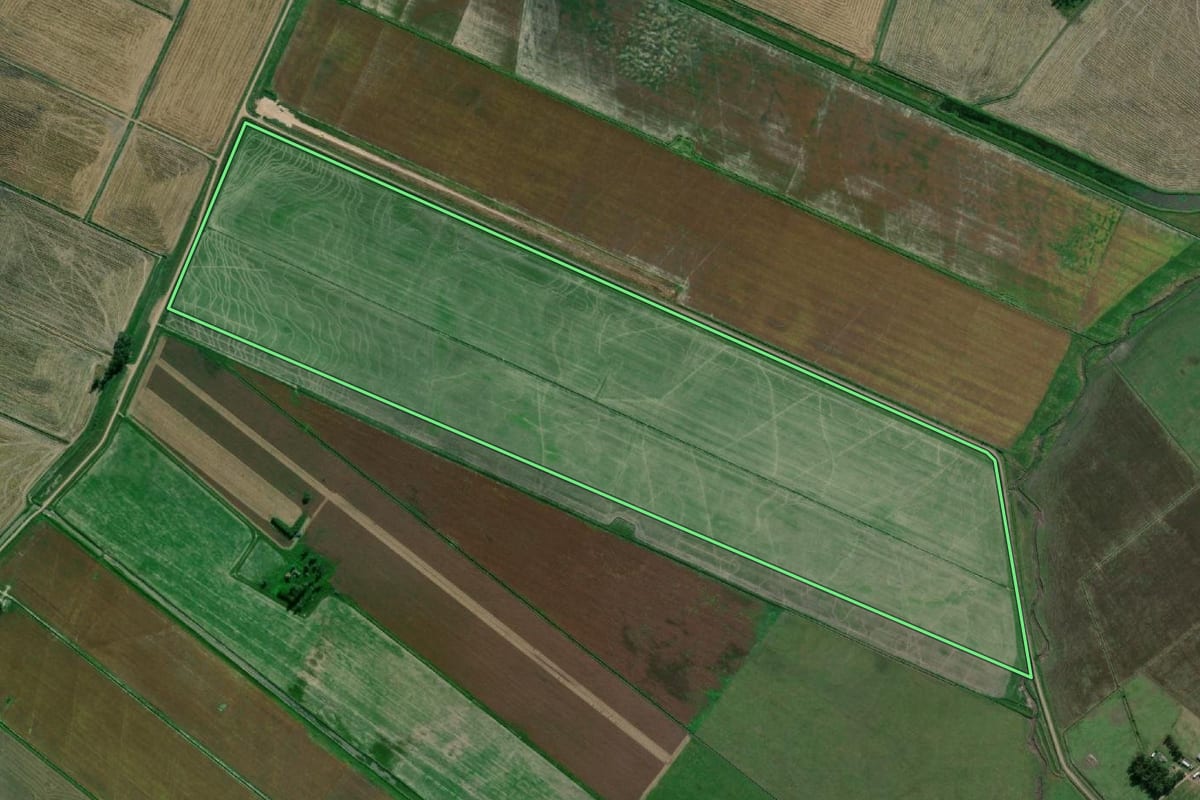 Imagem de satélite do imóvel rural em Santa Vitória do Palmar (RS), com o contorno declarado no CAR desenhado por cima.