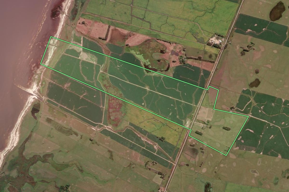 Imagem de satélite do imóvel rural em Santa Vitória do Palmar (RS), com o contorno declarado no CAR desenhado por cima.