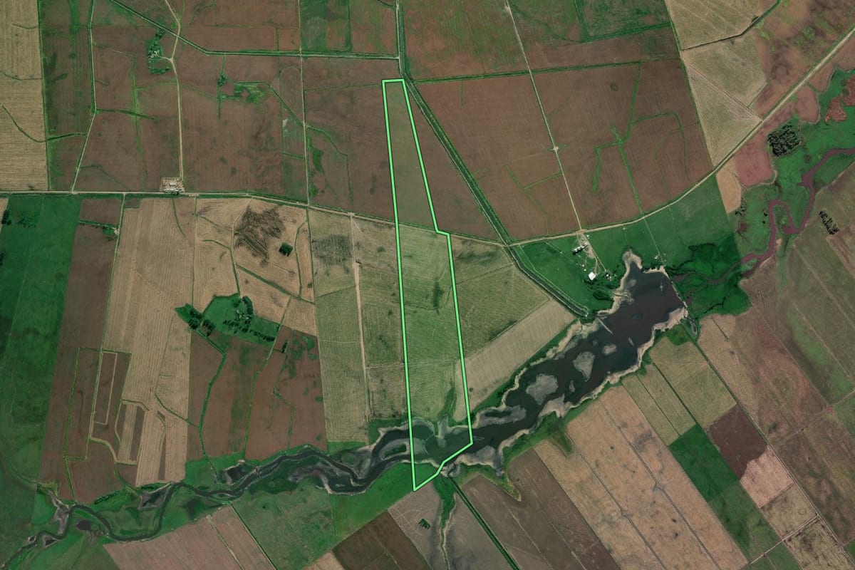 Imagem de satélite do imóvel rural em Santa Vitória do Palmar (RS), com o contorno declarado no CAR desenhado por cima.