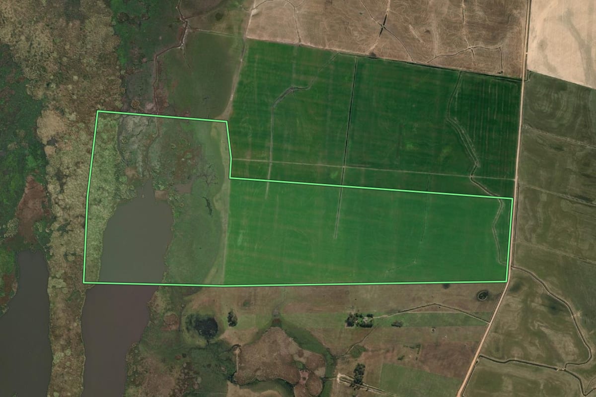 Imagem de satélite do imóvel rural em Santa Vitória do Palmar (RS), com o contorno declarado no CAR desenhado por cima.