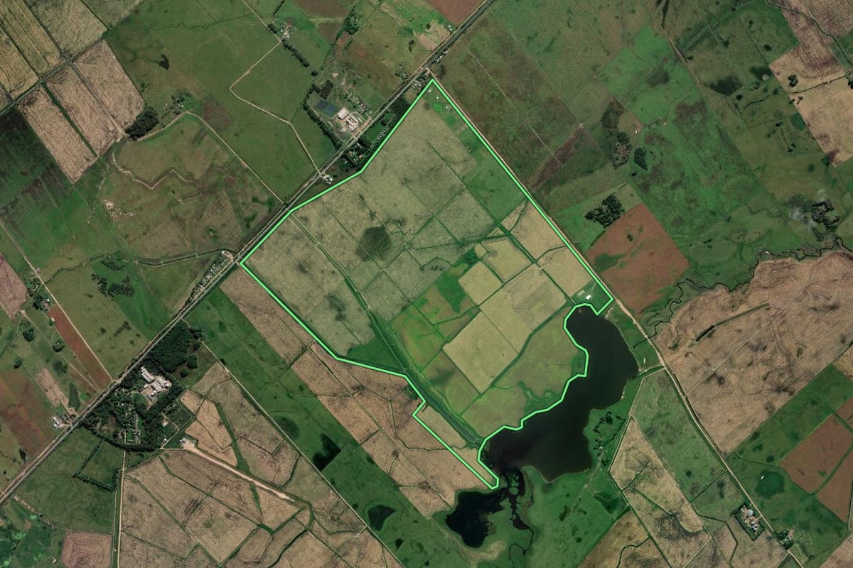 Imagem de satélite do imóvel rural em Santa Vitória do Palmar (RS), com o contorno declarado no CAR desenhado por cima.