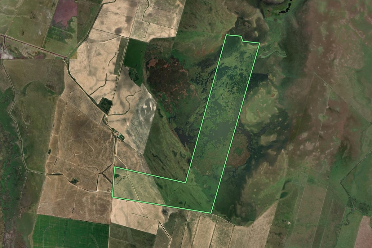 Imagem de satélite do imóvel rural em Santa Vitória do Palmar (RS), com o contorno declarado no CAR desenhado por cima.
