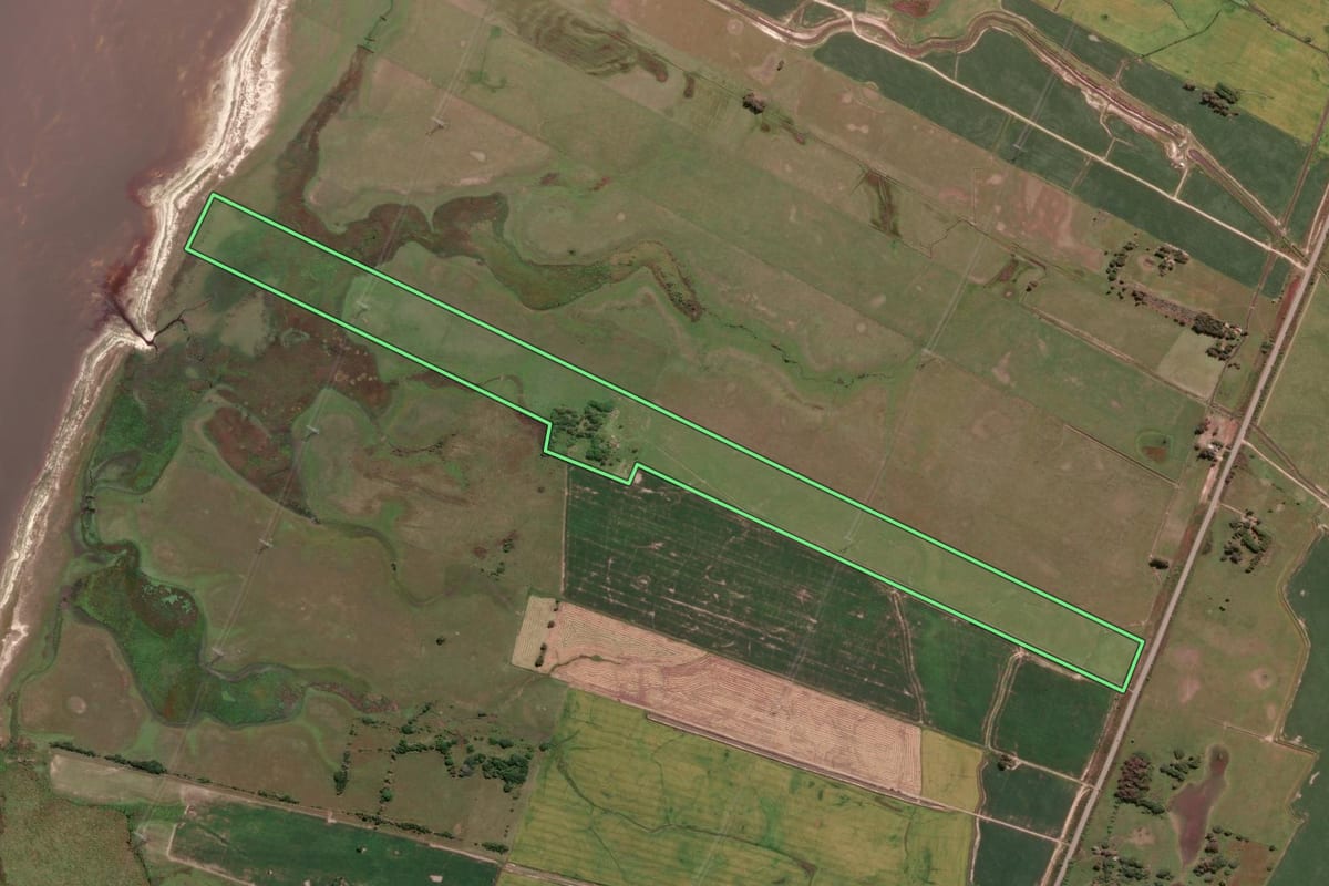Imagem de satélite do imóvel rural em Santa Vitória do Palmar (RS), com o contorno declarado no CAR desenhado por cima.