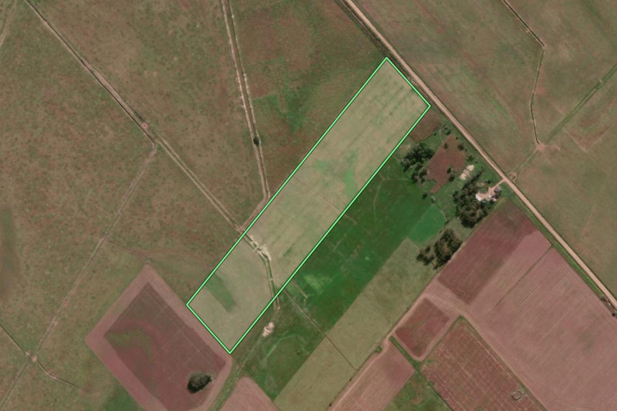 Imagem de satélite do imóvel rural em Santa Vitória do Palmar (RS), com o contorno declarado no CAR desenhado por cima.