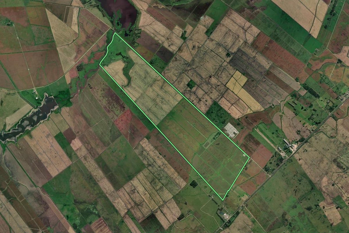 Imagem de satélite do imóvel rural em Santa Vitória do Palmar (RS), com o contorno declarado no CAR desenhado por cima.
