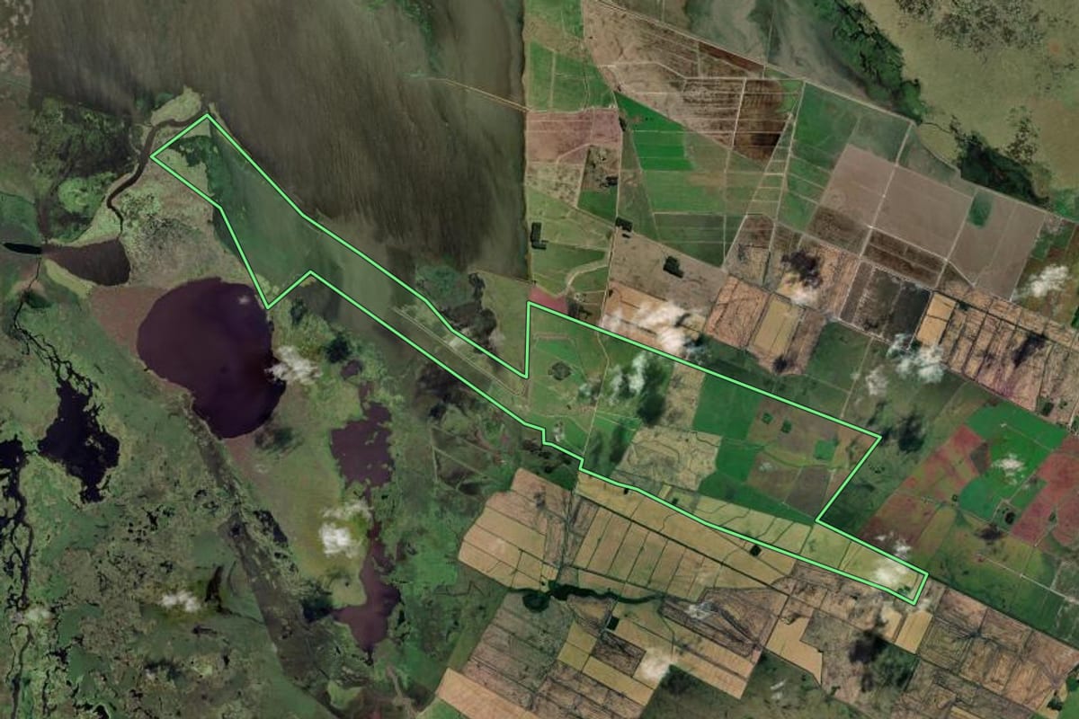 Imagem de satélite do imóvel rural em Santa Vitória do Palmar (RS), com o contorno declarado no CAR desenhado por cima.
