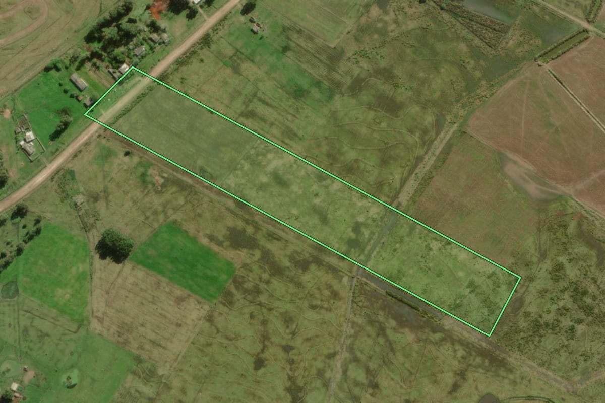 Imagem de satélite do imóvel rural em Santa Vitória do Palmar (RS), com o contorno declarado no CAR desenhado por cima.
