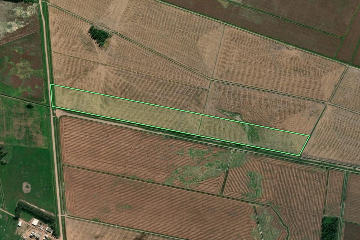 Imagem de satélite do imóvel rural em Santa Vitória do Palmar (RS), com o contorno declarado no CAR desenhado por cima.