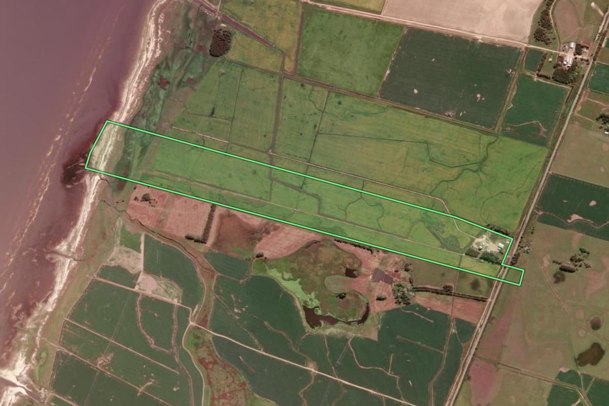 Imagem de satélite do imóvel rural em Santa Vitória do Palmar (RS), com o contorno declarado no CAR desenhado por cima.