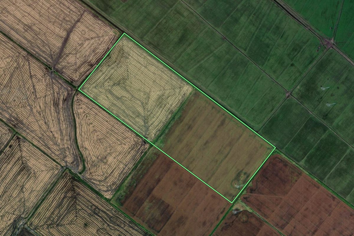 Imagem de satélite do imóvel rural em Santa Vitória do Palmar (RS), com o contorno declarado no CAR desenhado por cima.