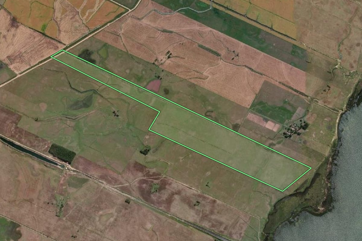 Imagem de satélite do imóvel rural em Santa Vitória do Palmar (RS), com o contorno declarado no CAR desenhado por cima.
