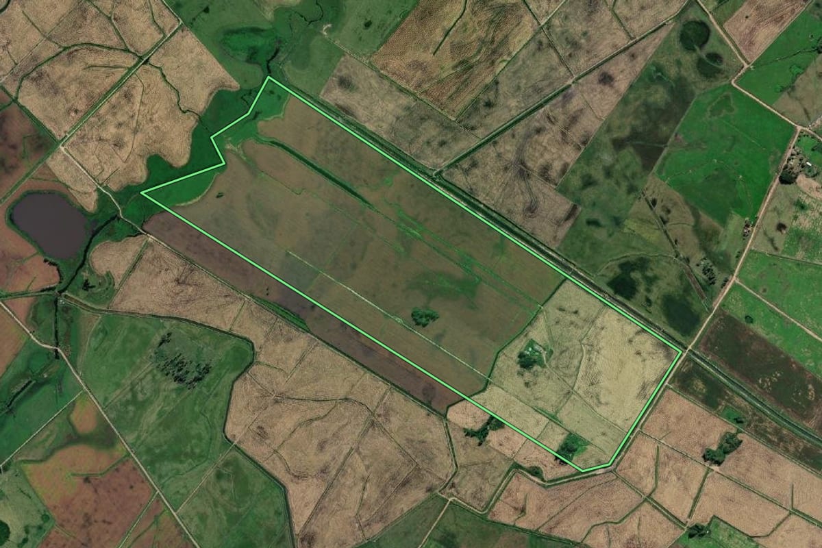 Imagem de satélite do imóvel rural em Santa Vitória do Palmar (RS), com o contorno declarado no CAR desenhado por cima.