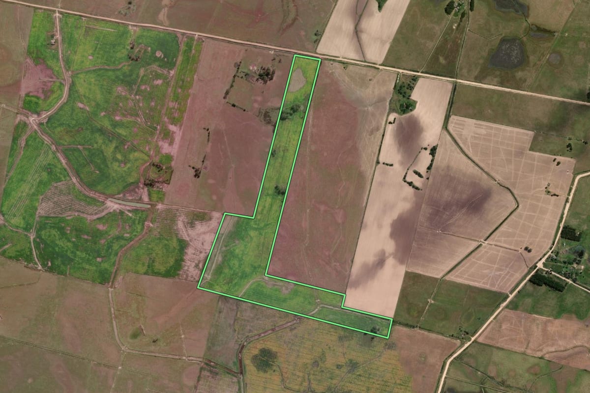 Imagem de satélite do imóvel rural em Santa Vitória do Palmar (RS), com o contorno declarado no CAR desenhado por cima.