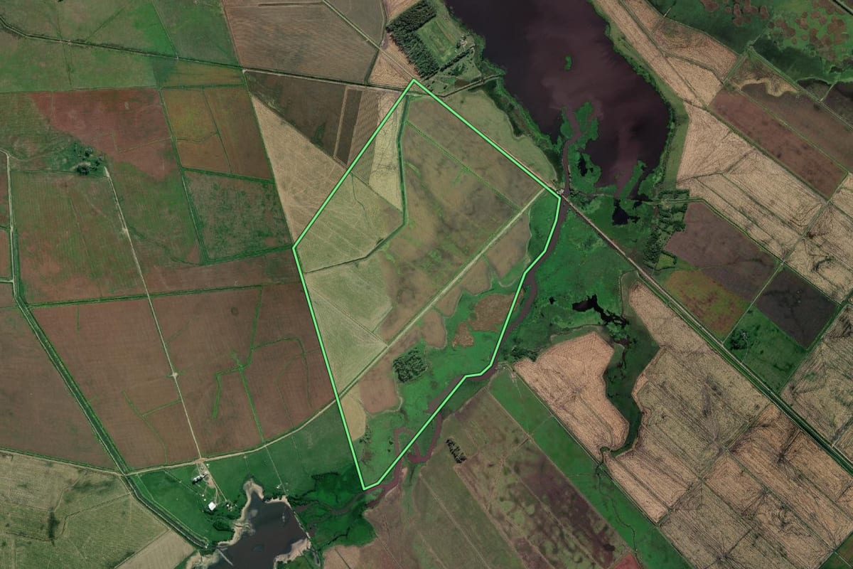 Imagem de satélite do imóvel rural em Santa Vitória do Palmar (RS), com o contorno declarado no CAR desenhado por cima.